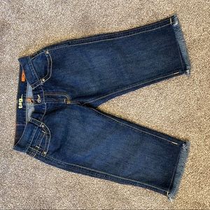 New!  Tag Jean Bermuda Denim Frayed Shorts